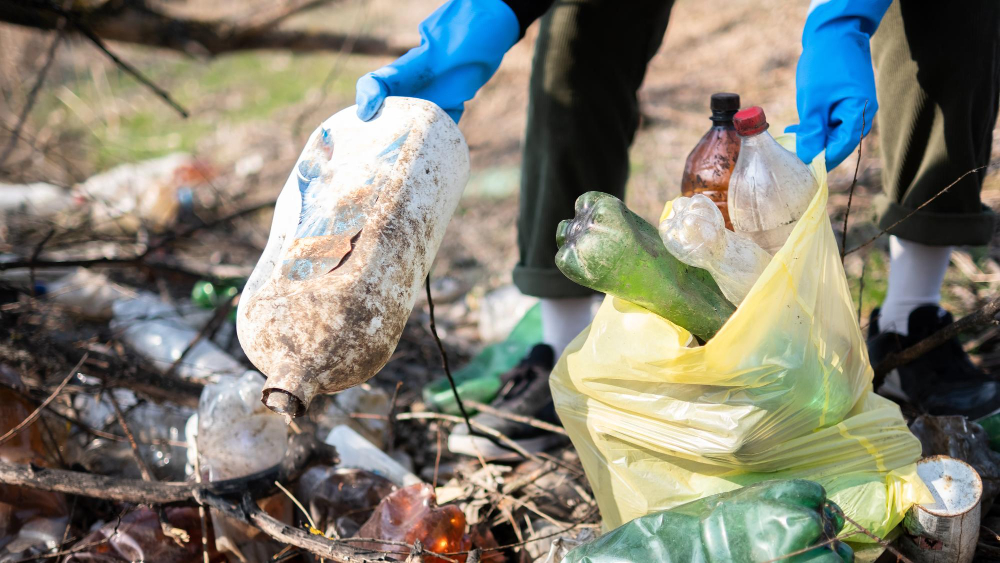 Waste Conservation and Environmental Protection Project